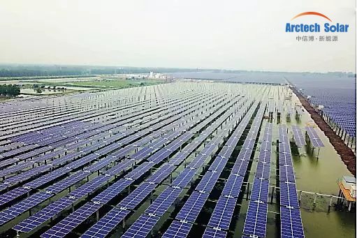 1590673263937864.jpg 1.webp.jpg