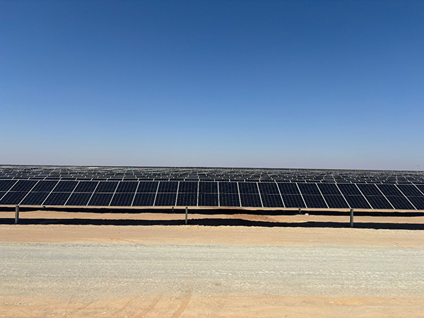 1747970856183443.jpg 03.jpg