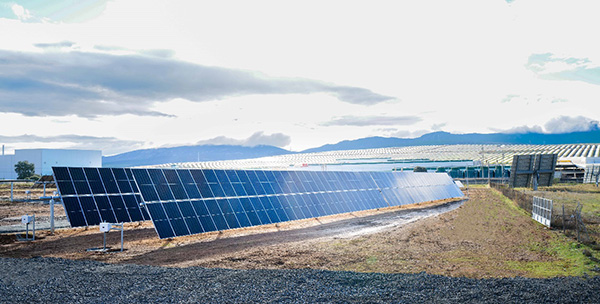 1765431144454324.jpg 120504.jpg